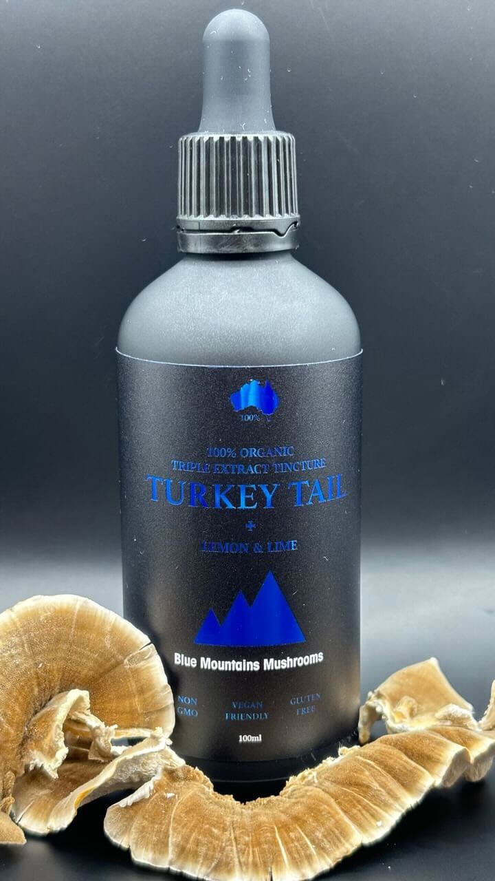 ORGANIC TURKEY TAIL TRIPLE EXTRACT TINCTURE WITH LEMON LIME FUSION 100ML