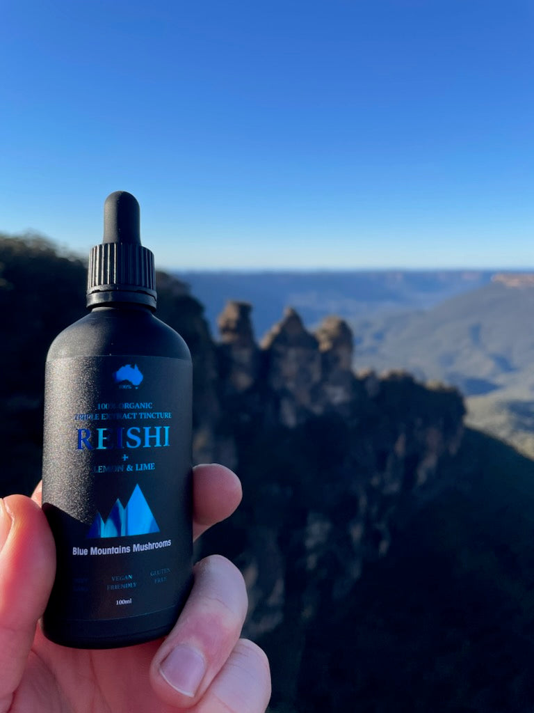 ORGANIC REISHI TRIPLE EXTRACT TINCTURE WITH LEMON LIME FUSION 100ML