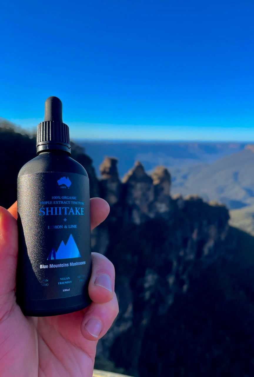 ORGANIC SHIITAKE TRIPLE EXTRACT TINCTURE WITH LEMON LIME FUSION 100ML