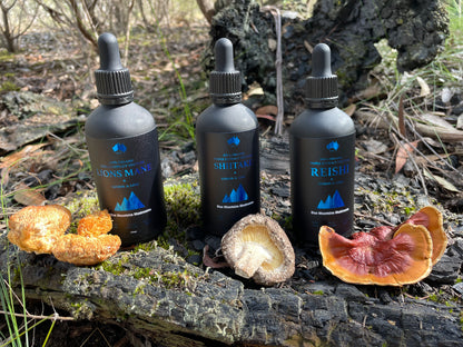 🧠 BRAIN  😴 SLEEP  🛡️ IMMUNITY ✨ GLOW - 3 PACK WELLNESS BUNDLE 10% OFF