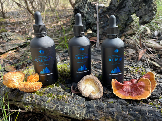 🧠 BRAIN  😴 SLEEP  🛡️ IMMUNITY ✨ GLOW - 3 PACK WELLNESS BUNDLE 10% OFF