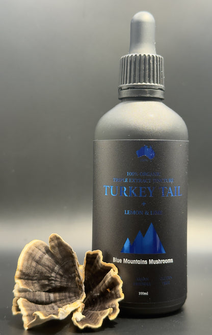 ORGANIC TURKEY TAIL TRIPLE EXTRACT 100ML